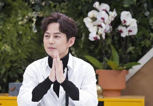 何炅网友爆料视频在线观看,揭秘明星幕后故事